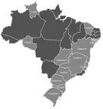 Innovation Dynamics of the State Basic Sanitation Companies