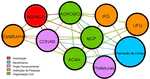 Networks and reapplicability of social technologies in Latin America agriculture and food